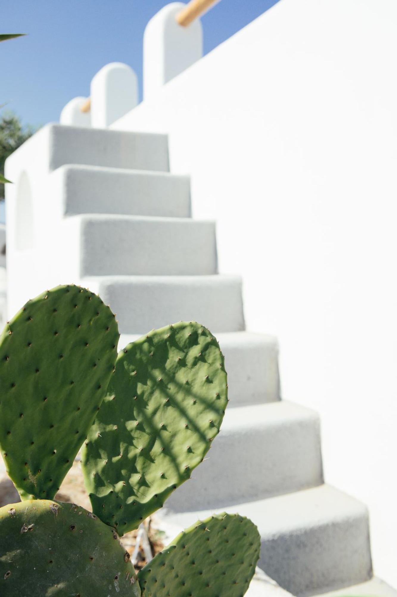 Olive Leaf Houses Φηροστεφάνι Εξωτερικό φωτογραφία